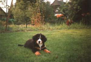 Vivien von Vindonissa gen. Tina